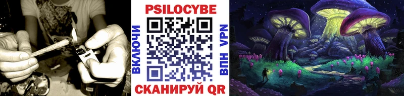 Псилоцибиновые грибы Magic Shrooms  Купить  Таруса 